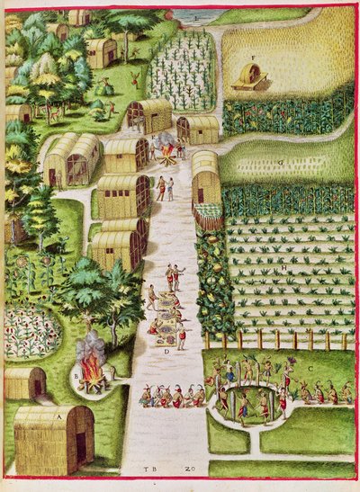 The Village of Secoton, from 